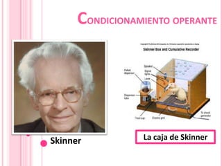 CONDICIONAMIENTO OPERANTE




Skinner          La caja de Skinner
 