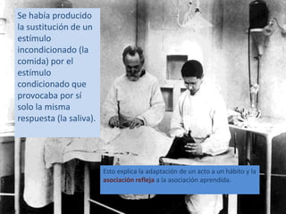Se había producido 
la sustitución de un 
estímulo 
incondicionado (la 
comida) por el 
estímulo 
condicionado que 
provocaba por sí 
solo la misma 
respuesta (la saliva). 
Esto explica la adaptación de un acto a un hábito y la 
asociación refleja a la asociación aprendida. 
 