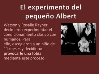Watson y Rosalie Rayner 
decidieron experimentar el 
condicionamiento clásico con 
humanos. Para 
ello, escogieron a un niño de 
11 meses y decidieron 
provocarle una fobia 
mediante este proceso. 
 