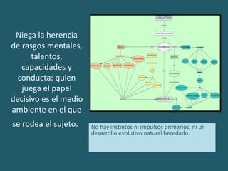 Niega la herencia 
de rasgos mentales, 
talentos, 
capacidades y 
conducta: quien 
juega el papel 
decisivo es el medio 
ambiente en el que 
se rodea el sujeto. No hay instintos ni impulsos primarios, ni un 
desarrollo evolutivo natural heredado. 
 