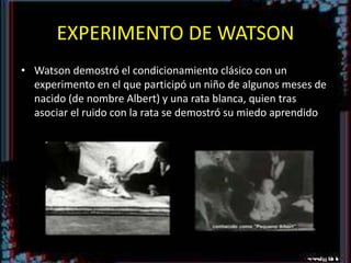 EXPERIMENTO DE WATSON
• Watson demostró el condicionamiento clásico con un
experimento en el que participó un niño de algunos meses de
nacido (de nombre Albert) y una rata blanca, quien tras
asociar el ruido con la rata se demostró su miedo aprendido
 