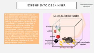 El conductismo y sus experimentos | PDF