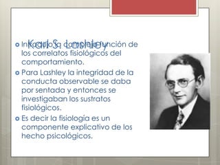 Karl S. Lashley Introdujo la compleja función de
los correlatos fisiológicos del
comportamiento.
 Para Lashley la integridad de la
conducta observable se daba
por sentada y entonces se
investigaban los sustratos
fisiológicos.
 Es decir la fisiología es un
componente explicativo de los
hecho psicológicos.
 