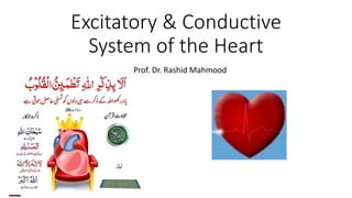 Excitatory & Conductive
System of the Heart
Prof. Dr. Rashid Mahmood
 