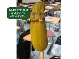 Come over here
and give me
some sugar…

 