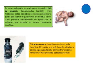 En esta cardiopatía se producen a menudo crisis
de cianosis. Denominadas también crisis
hipóxicas, estos episodios se suelen presentar a
partir del cuarto o quinto mes de edad, a veces
como primera manifestación de hipoxia en un
enfermo que todavía no estaba claramente
cianótico




                         El tratamiento de la crisis consiste en sedar
                         (morfina 0,2 mg/kg sc o im), hacerle adoptar la
                         posición genupectoral y administrar oxígeno.
                         También se han utilizado betabloqueantes.
 