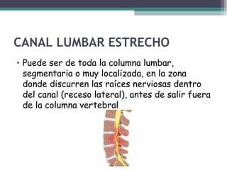 CANAL LUMBAR ESTRECHO
• Puede ser de toda la columna lumbar,
segmentaria o muy localizada, en la zona
donde discurren las raíces nerviosas dentro
del canal (receso lateral), antes de salir fuera
de la columna vertebral
 