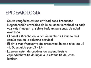 EPIDEMIOLOGIA
• Causa congénita es una entidad poco frecuente
• Degeneración artrósica de la columna vertebral es cada
vez más frecuente, sobre todo en personas de edad
avanzada.
• El canal estrecho en la región lumbar es mucho más
común que en la columna cervical
• El sitio mas frecuente de presentación es a nivel de L4
- L 5, seguida por L3 - L4
• La progresión de cuadros de espondilosis o
espondilolistesis da lugar a la estenosis del canal
lumbar.
 