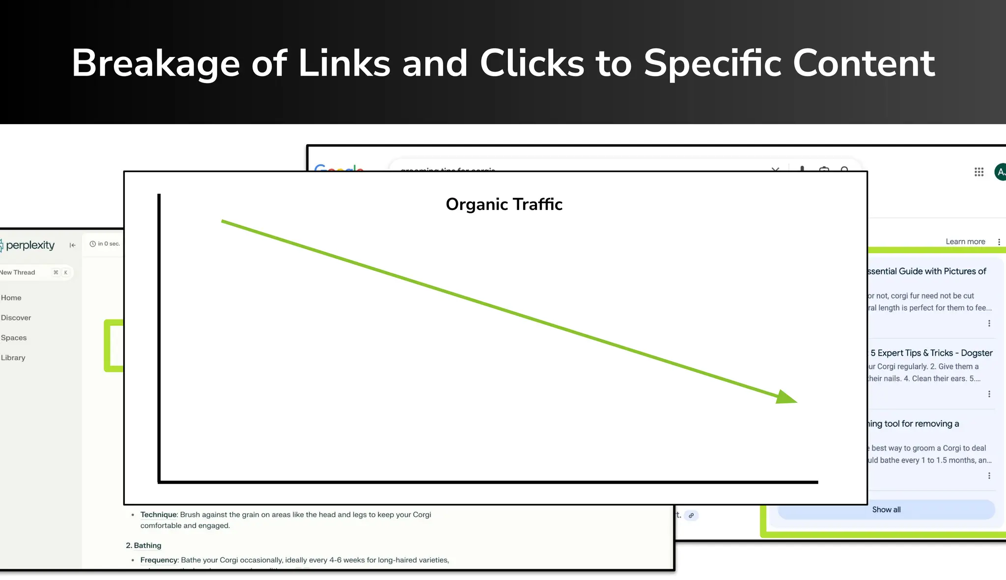 Slide 6