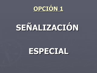 OPCIÓN 1 SEÑALIZACIÓN ESPECIAL