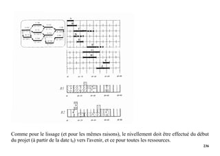 236
Comme pour le lissage (et pour les mêmes raisons), le nivellement doit être effectué du début
du projet (à partir de la date t0) vers l'avenir, et ce pour toutes les ressources.
 