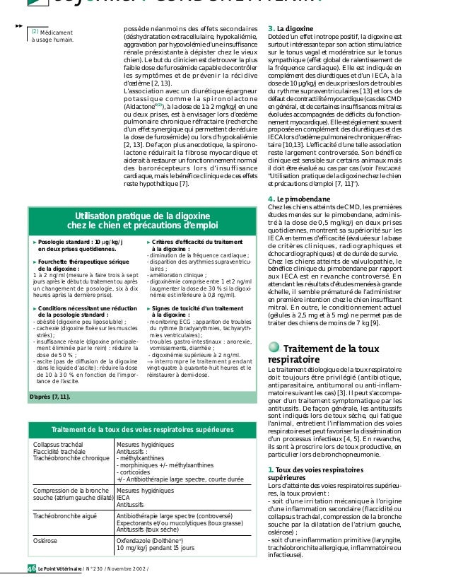 Conduite Therapeutique Chez Le Chien Age Qui Tousse