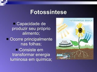 Fotossíntese Capacidade de produzir seu próprio alimento; Ocorre principalmente nas folhas; Consiste em transformar energia luminosa em química; 