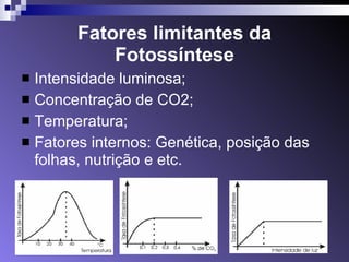 Fatores limitantes da Fotossíntese Intensidade luminosa; Concentração de CO2; Temperatura; Fatores internos: Genética, posição das folhas, nutrição e etc. 
