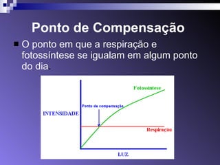 Ponto de Compensação   O ponto em que a respiração e fotossíntese se igualam em algum ponto do dia . 