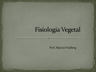 Prof. Marcio Fraiberg 