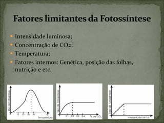 Intensidade luminosa; Concentração de CO2; Temperatura; Fatores internos: Genética, posição das folhas, nutrição e etc. 