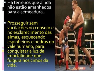Há terrenos que ainda não estão amanhados para a semeadura.Prosseguir sem vacilações no consolo e no esclarecimento das almas, esquecendo espinheiros e pedras do vale humano, para conquistar a luz da imortalidade que fulgura nos cimos da vida.