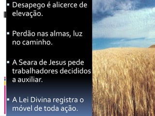Desapego é alicerce de elevação.Perdão nas almas, luz no caminho.A Seara de Jesus pede trabalhadores decididos a auxiliar.A Lei Divina registra o móvel de toda ação.
