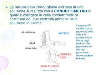 • La misura della conducibilità elettrica di una
soluzione si realizza con il CONDUTTIMETRO al
quale è collegata la cella conduttimetrica
costituita da due elettrodi immersi nella
soluzione in esame.
www.smauro.it
Il rapporto S/l
caratterizza la
geometria della
cella e le
caratteristiche
fisiche degli
elettrodi. Per
questo motivo
tale rap-
porto viene
detto costante
di cella .
 
