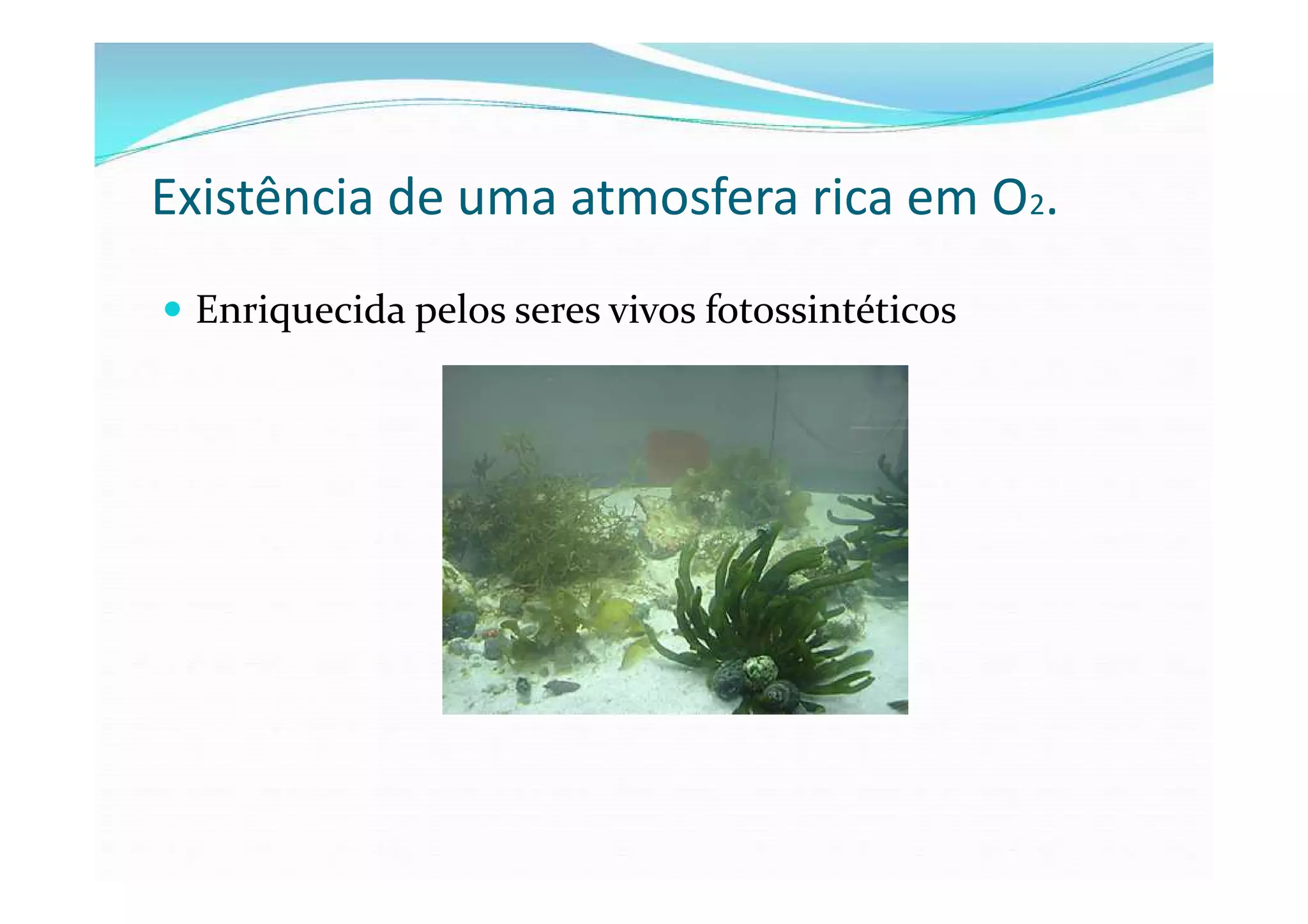 Existência de uma atmosfera rica em O2.
 Enriquecida pelos seres vivos fotossintéticos
 