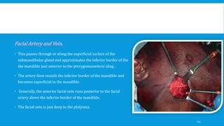Facial Artery and Vein.
 This passes through or along the superficial surface of the
submandibular gland and approximates the inferior border of the
the mandible just anterior to the pterygomasseteric sling .
 The artery then rounds the inferior border of the mandible and
becomes superficial to the mandible.
 Generally, the anterior facial vein runs posterior to the facial
artery above the inferior border of the mandible.
 The facial vein is just deep to the platysma.
113
 