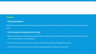 Dissection -
• Through the platysma
Undermine and sharply dissect, being careful to stay superficial to the superficial layer of the deep cervical fascia.
fascia.
• From the platysma to pterygomasseteric sling
Make a small incision through the superficial layer of the deep cervical fascia at the level of the skin incision (1.5
(1.5 to 2 cm inferior to the mandible).
The facial artery and vein may be retracted anteriorly or divided and ligated if necessary.
Continue the dissection superiorly until the pterygomasseteric sling is encountered.
115
 
