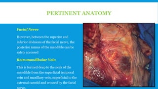 PERTINENT ANATOMY
Facial Nerve
However, between the superior and
inferior divisions of the facial nerve, the
posterior ramus of the mandible can be
safely accessed
Retromandibular Vein
This is formed deep to the neck of the
mandible from the superficial temporal
vein and maxillary vein, superficial to the
external carotid and crossed by the facial
nerve.
125
 