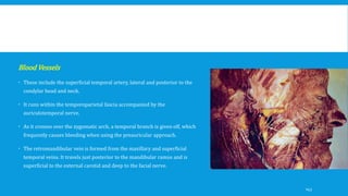 Blood Vessels
 These include the superficial temporal artery, lateral and posterior to the
condylar head and neck.
 It runs within the temporoparietal fascia accompanied by the
auriculotemporal nerve.
 As it crosses over the zygomatic arch, a temporal branch is given off, which
frequently causes bleeding when using the preauricular approach.
 The retromandibular vein is formed from the maxillary and superficial
temporal veins. It travels just posterior to the mandibular ramus and is
superficial to the external carotid and deep to the facial nerve.
143
 