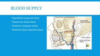 BLOOD SUPPLY
 Superficial temporal artery
 Transverse facial artery
 Posterior tympanic artery
 Posterior deep temporal artery
6
 