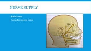 NERVE SUPPLY
 Facial nerve
 Auriculotemporal nerve
7
 