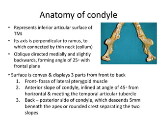 Anatomy of condyle
• Represents inferior articular surface of
TMJ
• Its axis is perpendicular to ramus, to
which connected by thin neck (collum)
• Oblique directed medially and slightly
backwards, forming angle of 25◦ with
frontal plane
• Surface is convex & displays 3 parts from front to back
1. Front- fossa of lateral pterygoid muscle
2. Anterior slope of condyle, inlined at angle of 45◦ from
horizontal & meeting the temporal articular tubercle
3. Back – posterior side of condyle, which descends 5mm
beneath the apex or rounded crest separating the two
slopes
 