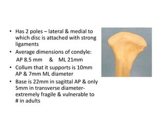 • Has 2 poles – lateral & medial to
which disc is attached with strong
ligaments
• Average dimensions of condyle:
AP 8.5 mm & ML 21mm
• Collum that it supports is 10mm
AP & 7mm ML diameter
• Base is 22mm in sagittal AP & only
5mm in transverse diameter-
extremely fragile & vulnerable to
# in adults
 