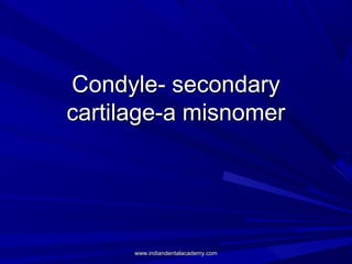 Condyle- secondary
cartilage-a misnomer

www.indiandentalacademy.com

 