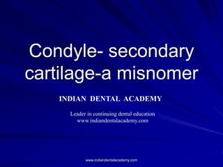 Condyle- secondary
cartilage-a misnomer
INDIAN DENTAL ACADEMY
Leader in continuing dental education
www.indiandentalacademy.com
www.indiandentalacademy.com
 