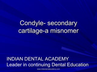 Condyle- secondaryCondyle- secondary
cartilage-a misnomercartilage-a misnomer
INDIAN DENTAL ACADEMY
Leader in continuing Dental Education
www.indiandentalacademy.comwww.indiandentalacademy.com
 