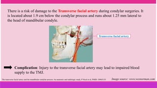 There is a risk of damage to the Transverse facial artery during condylar surgeries. It
is located about 1.9 cm below the condylar process and runs about 1.25 mm lateral to
the head of mandibular condyle.
Transverse facial artery
The transverse facial artery and the mandibular condylar process: An anatomic and radiologic study, P Nicol et al, PMID: 30965155 Image source: www.wesnorman.com
Complication: Injury to the transverse facial artery may lead to impaired blood
supply to the TMJ.
 