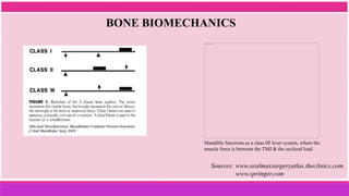 BONE BIOMECHANICS
Mandible functions as a class III lever system, where the
muscle force is between the TMJ & the occlusal load.
Sources: www.oralmaxsurgeryatlas.theclinics.com
www.springer.com
 