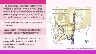 • The main source of arterial supply to the
condyle is inferior alveolar artery. Other
sources include: superficial temporal artery,
posterior tympanic artery, posterior deep
temporal artery and transverse facial artery.
• Venous drainage is by the corresponding
tributaries.
• Nerve supply is from auriculotemporal,
masseteric and deep temporal nerves.
• Lateral pterygoid muscle is attached at the
pterygoid fovea which is helpful in
protrusive and lateral excursive
movements. Image source: www.aofoundation.org
 