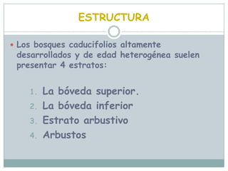 Varios representantes de estos bosques  también aparecen en el Caribe  y en el continente americano.