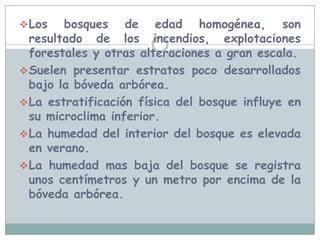 Dependiendo su localización, estos bosques están caracterizados por robles, indio desnudo y palmeras reales.ESTRUCTURALos bosques caducifolios altamente desarrollados y de edad heterogénea suelen presentar 4 estratos:La bóveda superior.La bóveda inferiorEstrato arbustivoArbustos 