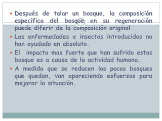 La estratificación física del bosque influye en su microclima inferior.