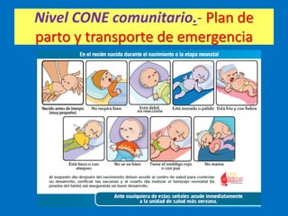 Nivel CONE comunitario.- Plan de
parto y transporte de emergencia
 