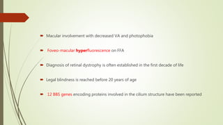  Macular involvement with decreased VA and photophobia
 Foveo-macular hyperfluorescence on FFA
 Diagnosis of retinal dystrophy is often established in the first decade of life
 Legal blindness is reached before 20 years of age
 12 BBS genes encoding proteins involved in the cilium structure have been reported
 