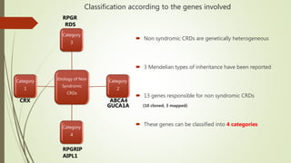 Classification according to the genes involved
 Non syndromic CRDs are genetically heterogeneous
 3 Mendelian types of inheritance have been reported
 13 genes responsible for non syndromic CRDs
(10 cloned, 3 mapped)
 These genes can be classified into 4 categories
Etiology of Non
Syndromic
CRDs
Category
3
Category
2
Category
4
Category
1
CRX ABCA4
GUCA1A
RDS
RPGR
RPGRIP
AIPL1
 