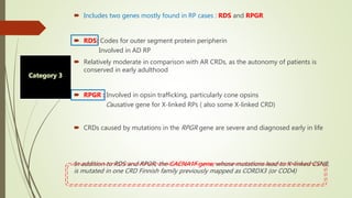  Includes two genes mostly found in RP cases : RDS and RPGR
 RDS: Codes for outer segment protein peripherin
Involved in AD RP
 Relatively moderate in comparison with AR CRDs, as the autonomy of patients is
conserved in early adulthood
 RPGR : Involved in opsin trafficking, particularly cone opsins
Causative gene for X-linked RPs ( also some X-linked CRD)
 CRDs caused by mutations in the RPGR gene are severe and diagnosed early in life
In addition to RDS and RPGR, the CACNA1F gene, whose mutations lead to X-linked CSNB,
is mutated in one CRD Finnish family previously mapped as CORDX3 (or COD4)
 