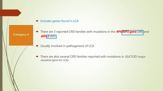  Includes genes found in LCA
 There are 3 reported CRD families with mutations in the RPGRIP1 gene (AR) and
AIPL1 (AD)
 Usually involved in pathogenesis of LCA
 There are also several CRD families reported with mutations in GUCY2D, (major
causative gene for LCA)
 