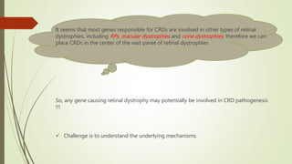 It seems that most genes responsible for CRDs are involved in other types of retinal
dystrophies, including RPs, macular dystrophies and cone dystrophies, therefore we can
place CRDs in the center of the vast panel of retinal dystrophies
So, any gene causing retinal dystrophy may potentially be involved in CRD pathogenesis
!!!
 Challenge is to understand the underlying mechanisms
 