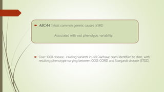  ABCA4 : Most common genetic causes of IRD
Associated with vast phenotypic variability.
 Over 1000 disease- causing variants in ABCA4 have been identified to date, with
resulting phenotype varying between COD, CORD and Stargardt disease (STGD)
 