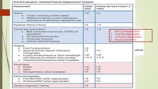 1. Rod Cone degeneration
2. Cone Rod degeneration
3. Chrioretinal degeneration
4. Macular dystrophies
 